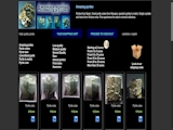 Amazing pyrites